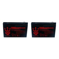 Blade Z XTR-HD 550 12V 12Ah Replacement Electric Scooter Battery by Neptune - 2 Pack