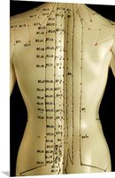 GREATBIGCANVAS Chinese Acupuncture Model Metal Wall Art Print, 20"x30"