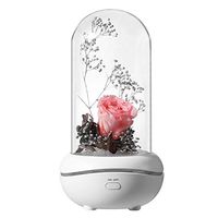 NovoLido Essential Oil Diffuser Flower Rose Lamp, 2 in 1 Rechargeable and Quiet Aroma Diffuser & Night Light, Button Control, Colorful Lights Rose Lamp with 5 Sponges for Decoration (Pink)