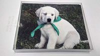 White Lab Notecards
