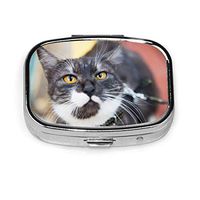 Pill Case,Square Pill Box Compact Two Compartment Medicine Tablet Organizer for Purse Pocket Traveling-A Cat On A Bench Outdoor in Fall 477