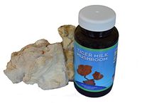 Tiger Milk Mushroom