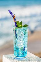 Hummingbird Glass Straws Orange Gecko on 9" Blue Bent Glass Straw Made With Pride in USA - Includes Cleaning Brush