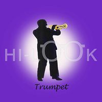 Hi-Look Microfiber Cleaning Cloth - Purple Trumpet