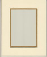22x28 Cream & Gold Double Picture Mats or Photography Matting Bevel Cut for 16x20 Pictures