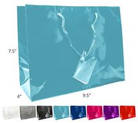 Novel Box® Aqua Glossy Laminated Euro Tote Paper Gift Bag Bundle 9.5X4X7.5 (10 Count) + Custom NB Pouch