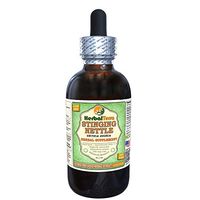 Stinging Nettle (Urtica Dioica) Glycerite, Organic Dried Roots Alcohol-Free Liquid Extract (Brand Name: HerbalTerra, Proudly Made in USA) 4 fl.oz (120 ml)