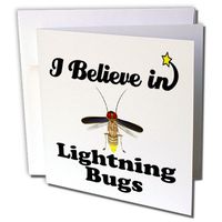 3dRose I Believe In Lightning Bugs - Greeting Cards, 6 x 6 inches, set of 6 (gc_105323_1)