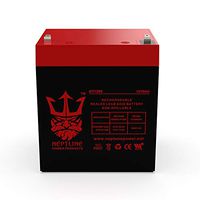 UB1250 12V 5Ah Brinks Security Box Replacement Battery NT1250 by Neptune