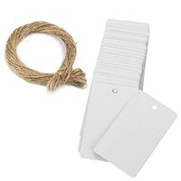 Paper Gift Package Tags, 100pcs Kraft Paper Tags with Natural Twine Blank Price Paper Tags Wedding Favour Tags (White)