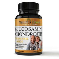Successful Joint Pain Relief Formulation Glucosamine & Chondroitin Plus Turmeric & MSM - Support to Maintain Healthy Joint Function & Mobility, Nourishes Joints to Improve Flexibility