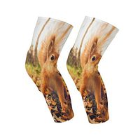 Knee Sleeve Red Fur Squirrel with Autumn Forest Background Full Leg Brace Compression Long Sleeves Pant Socks for Running,Jogging,Sports,Crossfit,Basketball,Joint Pain Relief,Men and Women 1 Pair