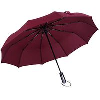 Roysberry Rain UmbrellaWindproof Double Layer Inverted Umbrellas Reverse Folding Umbrella UV Protection 10 Bone Automatic Umbrella