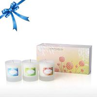 Tooarts Scented Candles Set 100% Natural Soy Wax Portable Travel Candle, Aromatherapy Candles Womens Gifts Home Decor, Fragrance Refresh Air, Set of 3
