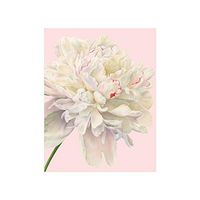 Caspari Duchess Gift Enclosure Cards, 20 with Envelopes