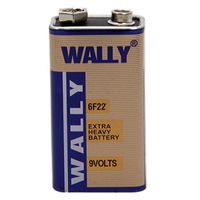 Rosequartz WALLY 9V Powerful Zinc-Carbon 6F22 Battery