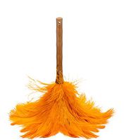 AVIAN COLOR FEATHER DUSTER. (Orange)