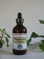 Papaya Leaf Extract/Tincture ~ 2 Ounce Bottle ~ 100% Organic Graviola