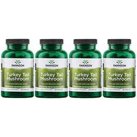 Swanson Turkey Tail Mushroom Supplements Immune Support Liver Support Cellular Health 500 mg 120 Capsules (4 Pack)