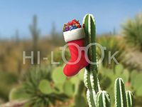 Hi-Look Microfiber Cleaning Cloth - Cactus Stocking