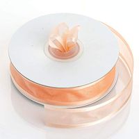 Tableclothsfactory 7/8" Satin Edge Organza-Peach
