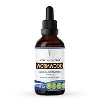 Wormwood Alcohol-Free Liquid Extract, Organic Wormwood (Artemisia Absinthium) Dried Herb Tincture Supplement (4 FL OZ)