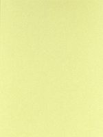 Canson Mi-Teintes Mat Board light green 16 in. x 20 in. [PACK OF 5 ]