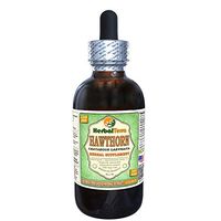 Hawthorn (Crataegus Laevigata) Glycerite, Organic Dried Leaves, Flowers and Stems Alcohol-Free Liquid Extract (Brand Name: HerbalTerra, Proudly Made in USA) 2 fl.oz (60 ml)