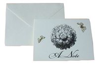 Gold Foil Blank Cards ~ Once Discovered (A Note, Flower, Butterflies; 6 Cards with Ivory Envelopes; 3.75" x 5")