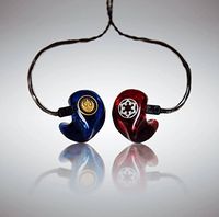 EarTech Music Dual Driver Custom Molded In Ear Musician Monitors Headphones