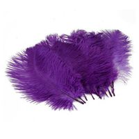Home Decor Ostrich Feathers 10-15cm Pack of 50pcs (Purple)