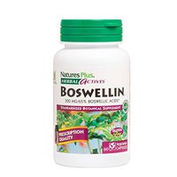 NaturesPlus Herbal Actives Boswellin - 300 mg, 65% Boswellic Acids, 60 Vegan Capsules - Natural Anti-Inflammatory Supplement - Gluten-Free - 60 Servings
