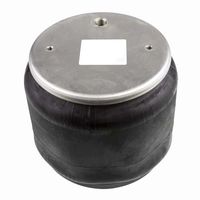 World American WA01-8813C Air Spring (REVERSIBLE SLEEVE)