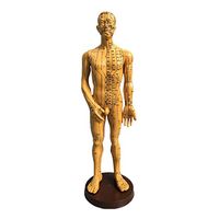MonkeyJack Acupoint and Meridian Human Body Model Small Bronze Women/Men Model Learning - Male 1