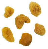 PROFESSIONAL Artist NATURAL OCEAN Painting Sponges 6 Small SILK 2114