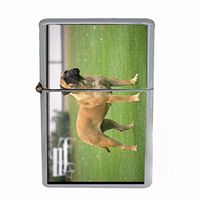 Dog bull mastiff Dual Torch Lighter