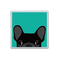 XIANN Care Contact Lens Box Holder Container Case Storage Eyecare Kit -Cute Black French Bulldog