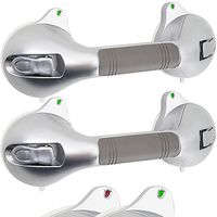 AmeriLuck Suction Bath Grab Bar 12" with Indicators, Bathroom Shower Handle (Silver, 2 Pack)