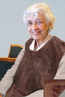 Brown Microfiber Clothing Protector with Barrier