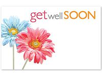 Pack Of 50, Get Well Soon Daisies Enclosure Card 3-1/2" x 2-1/4" Made In USA