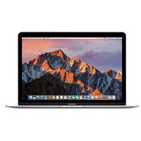 Apple MacBook (12", 1.2GHz dual-core Intel Core m3, 8GB RAM, 256GB SSD) - Space Gray