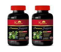 antioxidant Supplement for Women - Immune Support 1550 Mg Complex - Turmeric Turmeric Vitamins - 2 Bottles 120 Capsules