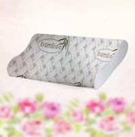 Spring Sleep Sleep Memory Foam Contour Pillow Organic Bamboo Cover, Standard Size