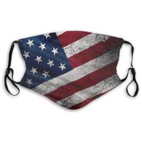 Fillter Face Cloth for Women Flag America with Gasket Reusable Sunscreen Mouth Protective Replaceable Ear Loops for Traveling Double Protection