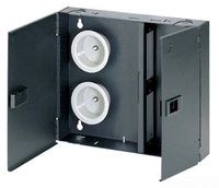 Panduit FWME2 2-Door 2-Adapter Panel Wall-Mount Enclosure, Black