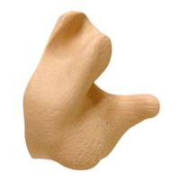 Radians Custom Molded Earplugs, Orange 2-pack