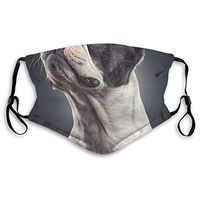 Premium Earloop Face Cover, Dustproof Pollenm Face and Nose Cover with Adjustable Elastic Strap - Windproof Boston Terrier Half Face Mouth Cover