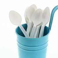 AmerCare White Heavy Weight Polypropylene Teaspoons, Case of 1000