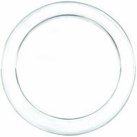 Amscan Dinner Plates 9'  24/Pkg Clear Plastic