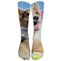 Corgi Dream Come True Women Compression Socks Popular Athletic Socks High Stockings Unisex Anti-odor Running Long Sock For Men And Women